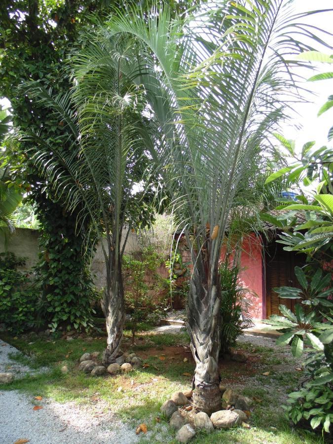 Residencial Dolce Guest house Boicucanga
